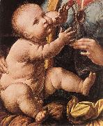 LEONARDO da Vinci The Madonna of the Carnation  g oil on canvas